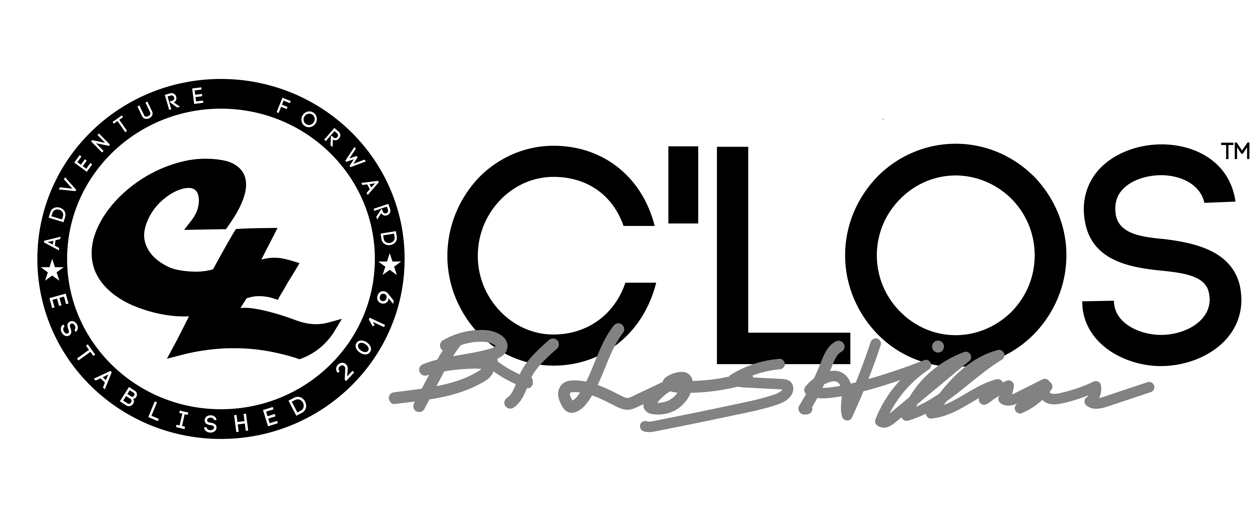 Logo Preview